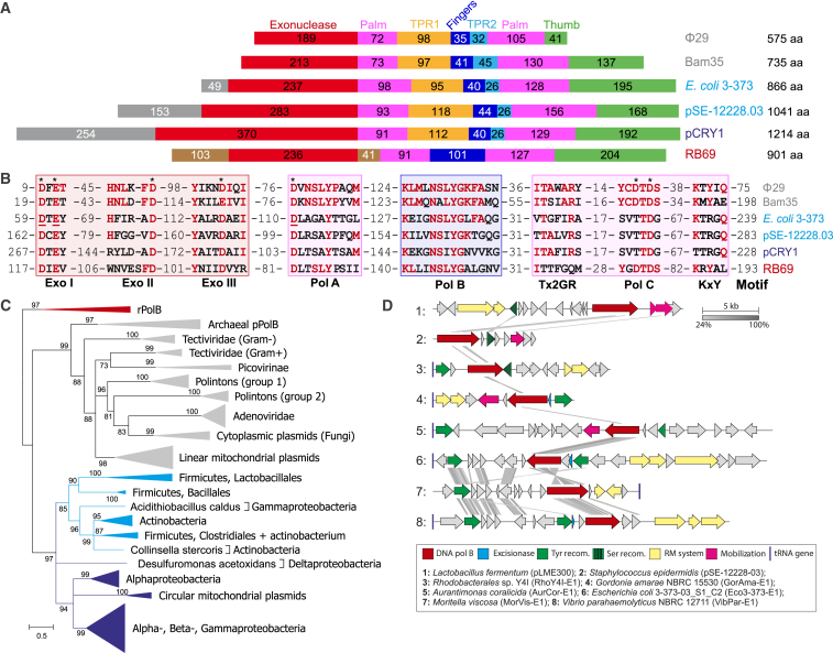 Figure 1 (Redrejo-Rodríguez et al. 2017)